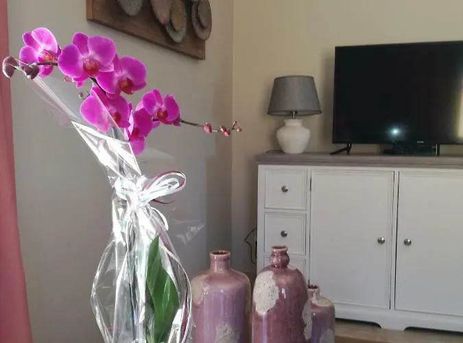 ベッド・アンド・ブレックファスト Casa Da Falfeira ラゴス